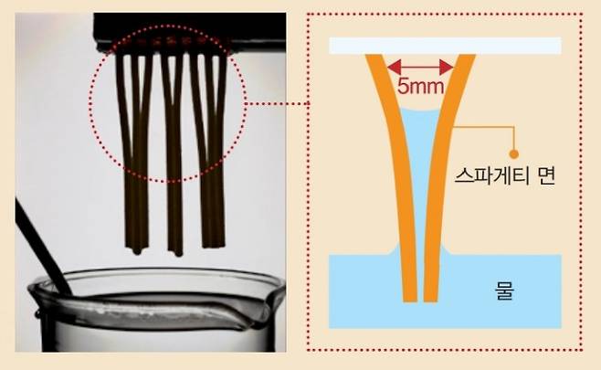 스파게티 면을 100℃에서 삶으면 모세관 현상 일어난다. 수학동아DB