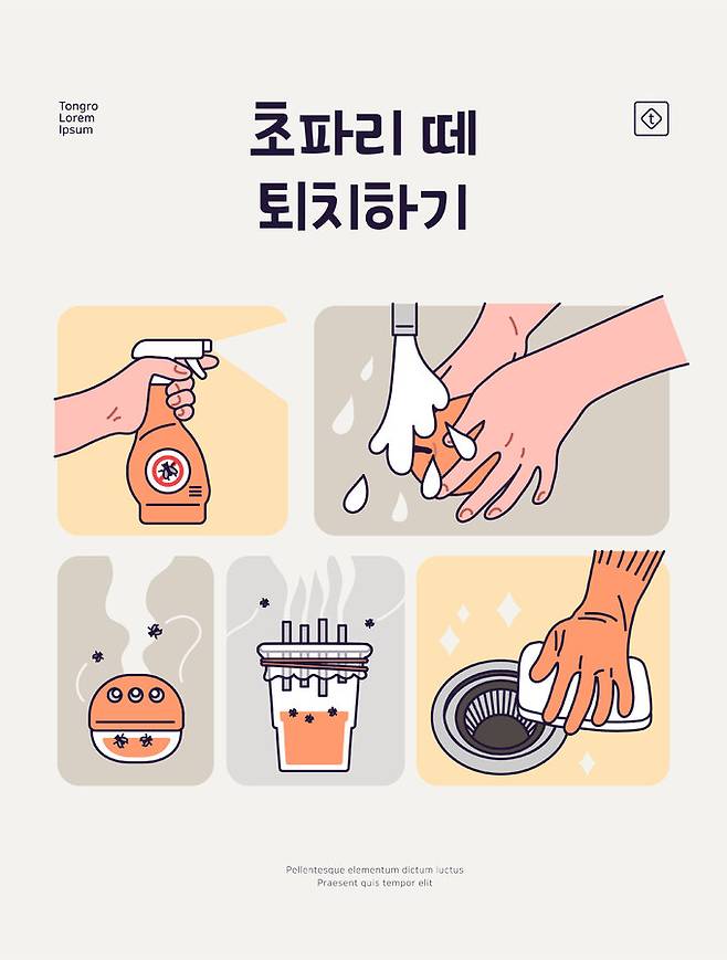 초파리떼 퇴치법. 클립아트코리아