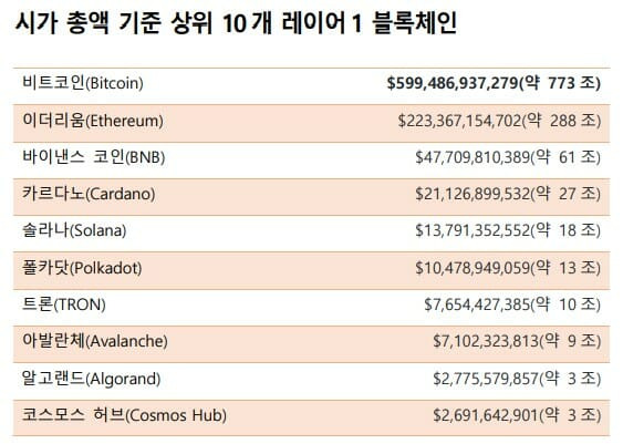 시가총액 기준 상위 10개 레이어1 블록체인(출처=체이널리시스)