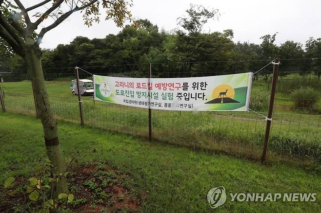 서천 국립생태원 로드킬 예방연구 시설 [연합뉴스 자료사진]