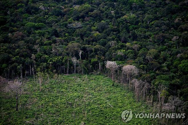 브라질 아마존 열대우림 파괴 [AFP 연합뉴스 자료사진. 재판매 및 DB 금지]