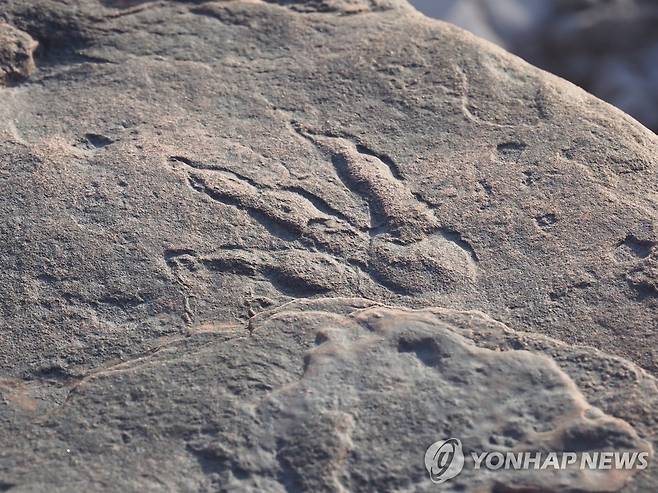 돌에 남은 공룡 발자국 (기사와 직접 관련 없음) [EPA 연합뉴스 자료사진. 재판매 및 DB 금지]