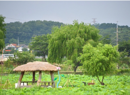 합덕제 오두막. 사진 = 당진시 제공