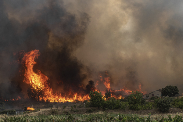 스페인 북서부 페레라스 데 아바호 지역에서 뜨거운 날씨에 자연발화로 인한 산불이 발생해 주변을 태우고 있다. 스페인이 포함된 이베리아반도에선 최근 폭염으로 산불이 연이어 발생하고, 1000명 이상이 목숨을 잃었다. AP연합뉴스