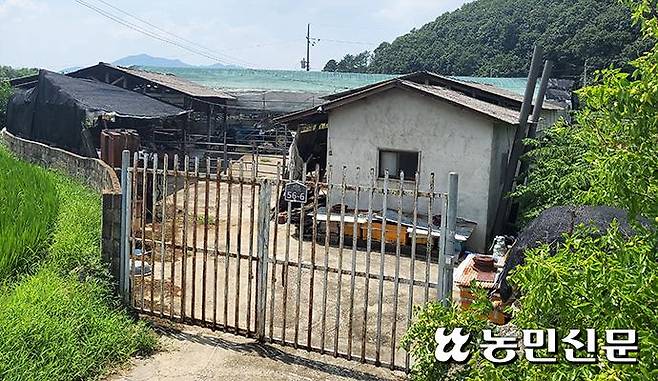 정부가 ‘가축전염병 예방법 시행령 개정안’에 대한 새로운 수정안을 마련하고 재입법예고를 추진하는 것으로 확인됐다. 사진은 가축전염병 발생으로 문을 닫은 한 한우농장. 기사의 특정 내용과 관련 없음.