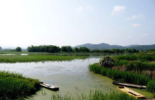 우포늪 전경 [창녕군 제공. 재판매 및 DB 금지]