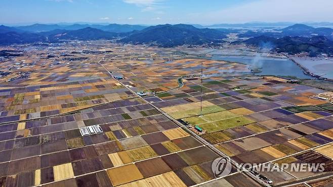 초여름, 옷 갈아입는 들녘 (보성=연합뉴스) 박철홍 기자 = 26일 오전 전남 보성군 득량면에서 보리 수확이 끝나고, 논에 벼농사를 위해 물을 채워 넣으면서 농촌의 풍경이 바뀌고 있다. 2022.5.26 pch80@yna.co.kr