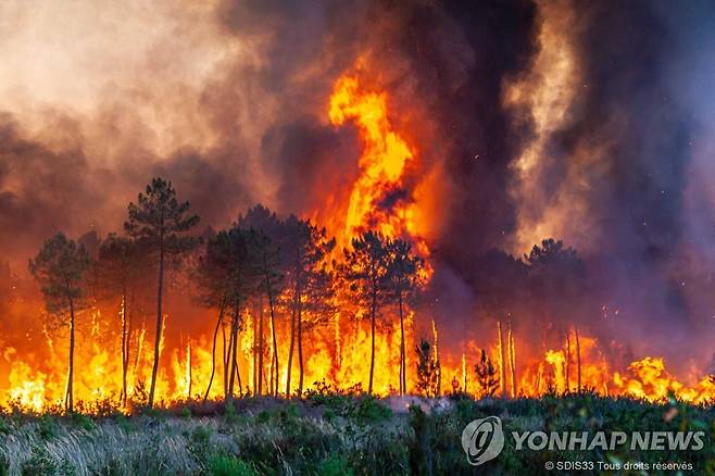 폭염에 산불까지…유럽의 지독한 여름 (랑디랑스 AP=연합뉴스) 17일(현지시간) 프랑스 남서부 랑디랑스 인근의 산불 현장. 남서부 유럽을 중심으로 며칠째 이어진 폭염으로 관련 사망자가 속출하고 산불까지 연이어 발생하면서 각국이 긴급 대응에 나서고 있다. [제3자 제공. 재판매 및 DB 금지] 2022.7.18 leekm@yna.co.kr