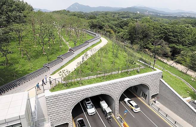 궁궐 담장길 따라 산책 - 서울시가 창경궁과 종묘를 연결하면서 복원한 궁궐 담장을 따라 만든 산책로인 ‘궁궐담장길’을 사람들이 걸어가고 있다. 이 산책로는 340m 길이다. 담장 왼쪽이 종묘, 오른쪽이 창경궁 쪽이다. /남강호 기자