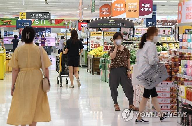 20일 서울 시내 대형마트에서 장을 보는 시민들 모습 [연합뉴스 자료사진. 재판매 및 DB 금지]