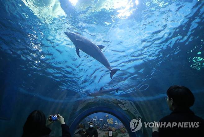 울산 고래생태체험관 모습 [연합뉴스 자료사진]