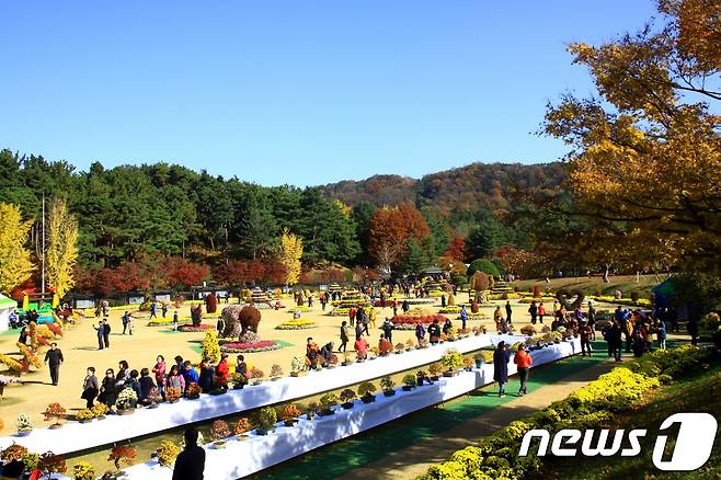 2017년 ‘제10회 청남대 가을 국화축제’(충북도 제공) 2018.10.15/뉴스1© News1