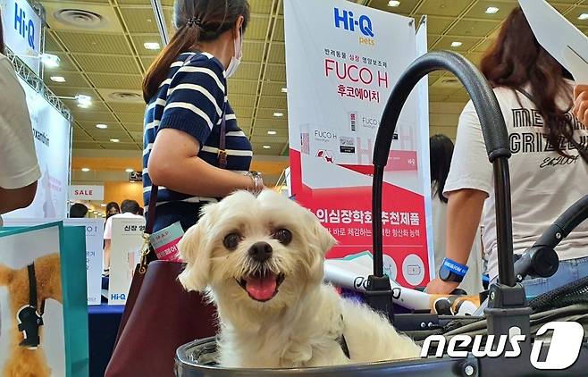 22일 서울 강남구 코엑스에서 열린 케이펫페어 '하이큐펫츠' 부스를 방문한 강아지 © 뉴스1 최서윤 기자