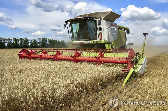 우크라이나 곡물 수확 [EPA 연합뉴스 자료사진. 재판매 및 DB 금지]