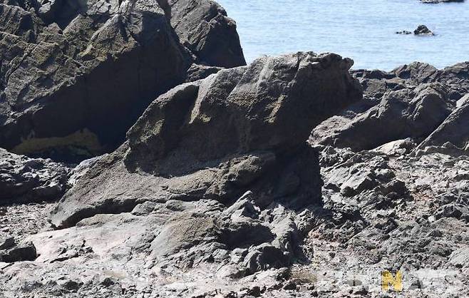 코뿔소 모양의 바위