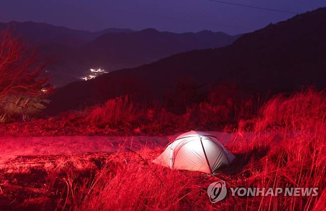 캠프 야영 [촬영 성연재. 연합뉴스 자료사진. 재판매 및 DB 금지. 사진은 적발 사항과 관련이 없음.]