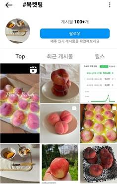 인스타그램에 복켓팅(복숭아+티켓팅)을 검색한 결과./인스타그램 제공