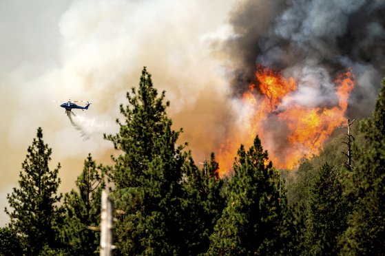 24일(현지시간) 헬리콥터 한 대가 미국 캘리포니아에서 발생한 산불 진화 작업 중이다. [AP=연합뉴스]