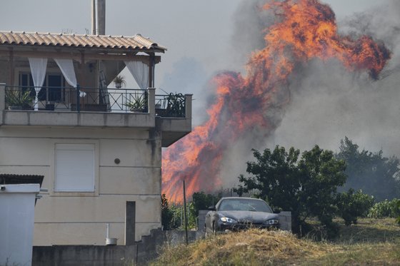 그리스 아테네에서 남쪽으로 320㎞ 떨어진 크레스테나에서 24일 건조와 고온·강풍으로 확산한 산불이 주택에 옮겨붙고 있다. [AP=연합뉴스]