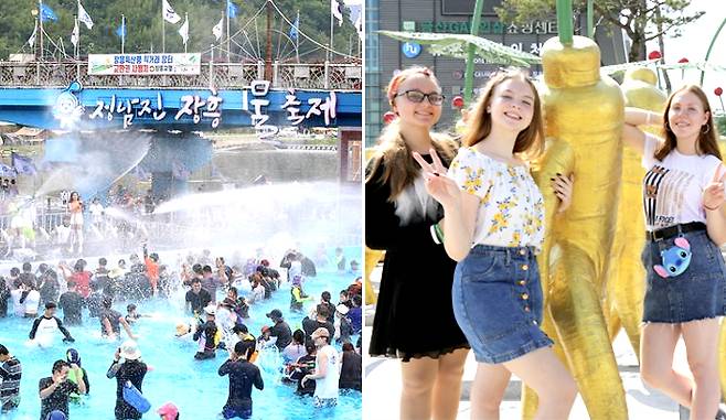 제12회 전남진장흥물축제(왼쪽), 제38회 금산인삼축제(오른쪽).