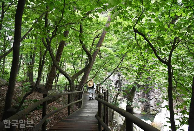 소리길의 험한 구간에는 목재 산책로를 조성해 대체로 순탄하다.