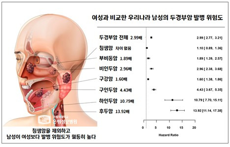 여성과 비교한 우리나라 남성의 두경부암 발병 위험도/은평성모병원 제공