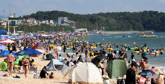 (보령=뉴스1) 김기태 기자 = 지난 16일 충남 보령 대천해수욕장을 찾은 관광객들이 즐거운 시간을 보내고 있다. 2022.7.16/뉴스1