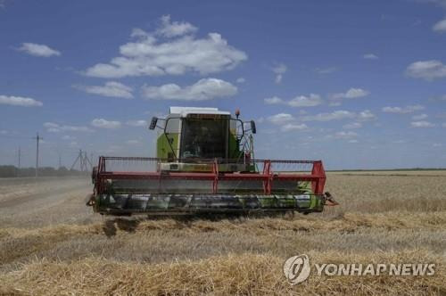 우크라이나 농장의 밀 수확 현장 [AFP 연합뉴스 자료사진. 재판매 및 DB 금지]