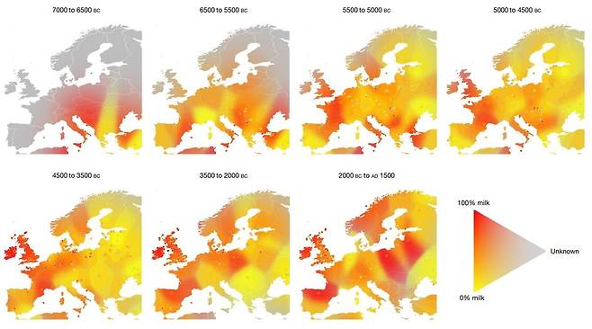 기원전 7천년부터 기원후 1천500년까지 유럽 지역에서의 우유 섭취 변화 유럽의 각 지역에서 시기별로 우유 소비가 늘거나 줄어드는 모습을 볼 수 있다. [논문 캡처. 재판매 및 DB 금지]