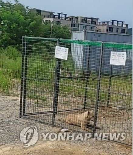 울주군 포획단에 잡힌 들개 (울산=연합뉴스) 울산시 울주군이 다음 달 한 달간 들개포획단을 운영하기로 했다. 사진은 최근 울주군 들개포획단에 잡힌 들개. 2022.7.28 [울주군 제공.재판매 및 DB 금지]