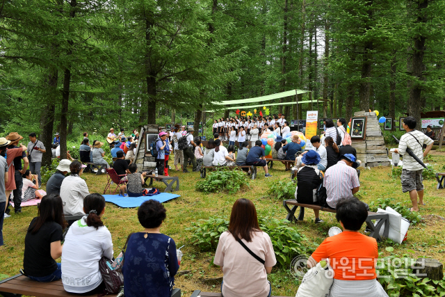 ▲ 여름철 대표적인 산상 축제인 고한 함백산야생화축제가 함백산 만항재 산상 화원에서 30일부터 8월7일까지 다양한 프로그램으로 열린다.