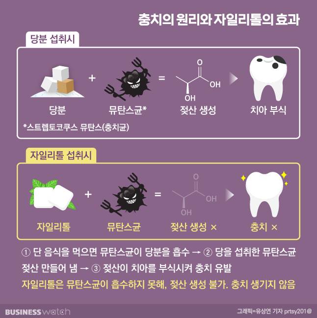 /그래픽=유상연 기자 prtsy201@