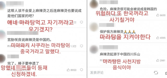 웨이보에 달린 중국 누리꾼들의 반응. 온라인 커뮤니티 캡처