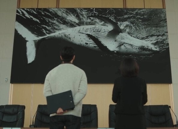 <이상한 변호사 우영우> 속 ‘법무법인 한바다’의 고래 사진. 영상 갈무리