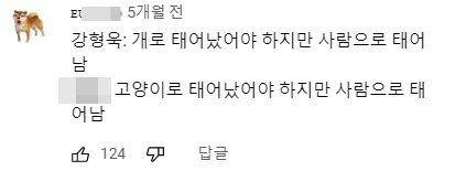 오늘 인터뷰의 주인공은 누리꾼으로부터 '고양이가 아니라 사람으로 잘못 태어난 사람'이라는 찬사를 받는 수의사다. 유튜브 캡처