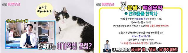 안락사와 같은 무거운 주제도 다루는 유튜버 '윤샘'의 채널. 유튜브 '윤샘의 마이펫상담소'
