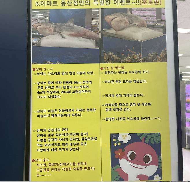 이마트 용산점 수산물 코너에 전시된 상어 사체 '포토존 이벤트' 안내문. 온라인 커뮤니티 캡처