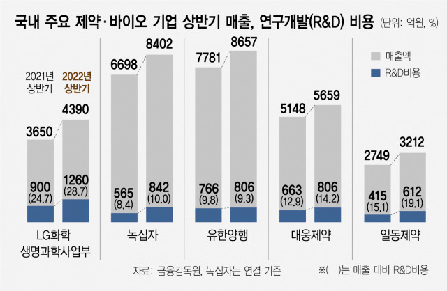 사진 설명