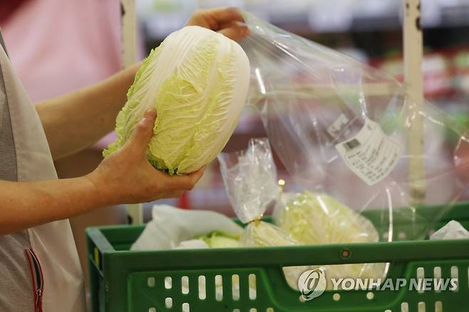 서울의 한 대형마트 ※ 기사와 직접적인 관계가 없습니다. [연합뉴스 자료 사진]