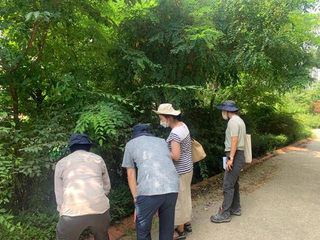 우동걸(왼쪽) 국립생태연구원 선임연구원 등 전문가들이 지난달 29일 서울 송파구 장지근린공원에서 너구리 이동 통로로 추정되는 흔적을 살펴보고 있다. 서울시 제공