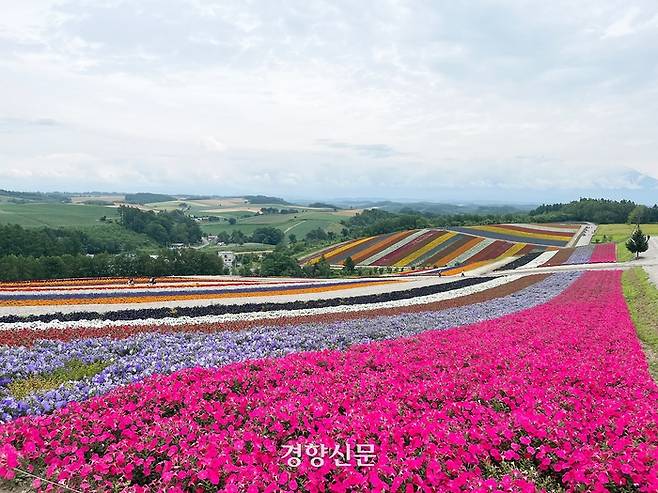 팜 도미타와 ‘양대 꽃밭’으로 꼽히는 시키사이노오카