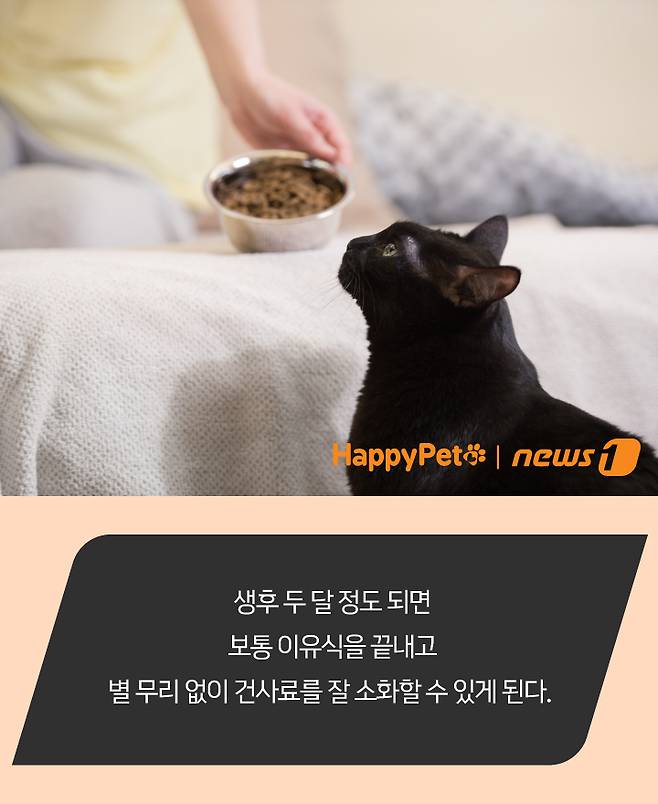 펫카드 ⓒ 뉴스1