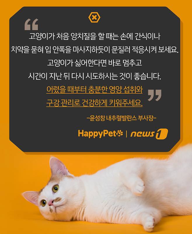 펫카드 ⓒ 뉴스1