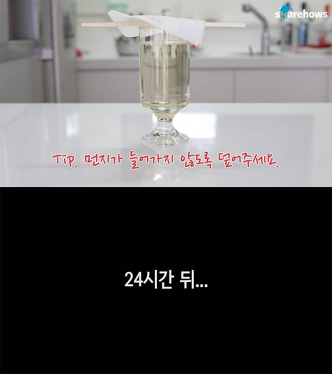 how to make rock candy 06