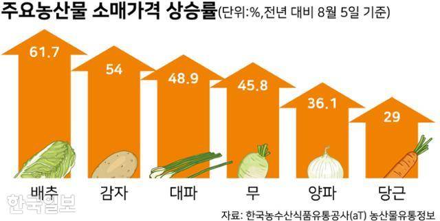 주요농산물 소매가격 상승률. 그래픽=강준구 기자