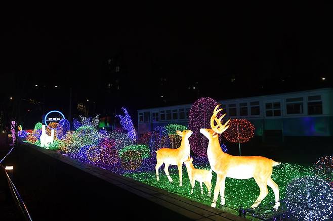 노원 불빛정원 (출처-노원구청)&nbsp;