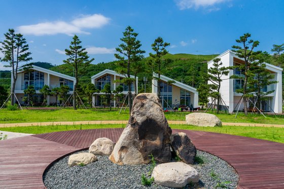 망상오토캠핑리조트 한편에 '망상의 돌'이 전시돼 있다. 2019년 화재 때 검게 그을린 흔적이 생생히 남아 있다.