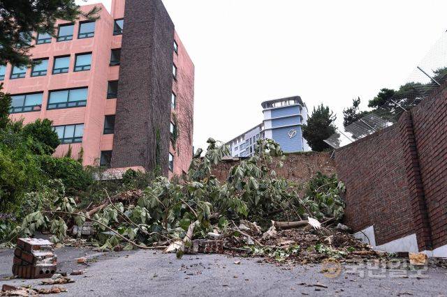무너진 담벼락이 후문 안쪽 길에 놓여있다.