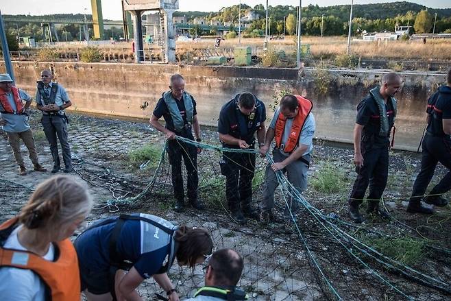 벨루가 구조작업 / 사진 = 연합뉴스