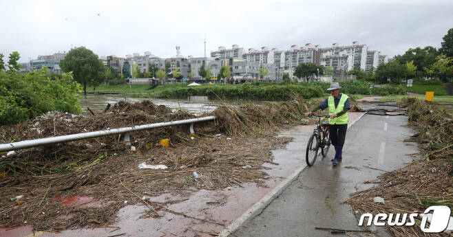 충청권에 폭우가 쏟아지며 대전 지역에도 비 피해가 속출하고 있는 가운데 10일 대전 유성천 일대에서 시민이 침수로 훼손된 하천보행도를 지나고 있다/사진=뉴스1